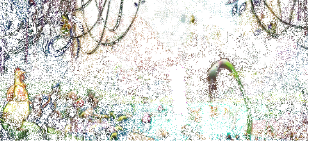 homemade ways to enlarge your penis